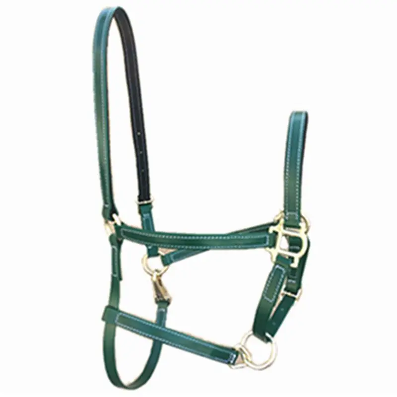 

PVC Horse Halter Riding Horse Racing Equipment PP webbing Wrapped Polyvinyl Chloride Halter