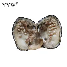 Вакуумная упаковка устрицы желаний пресноводная жемчужная Мидия раковина с жемчугом новое поступление таинственный подарок Сюрприз Вакуумный пакет жемчуг
