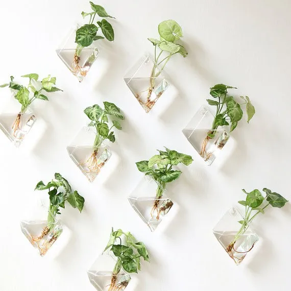 O Roselif New Rhombus Glass Wall Vase Wall Hang Planters Rooting