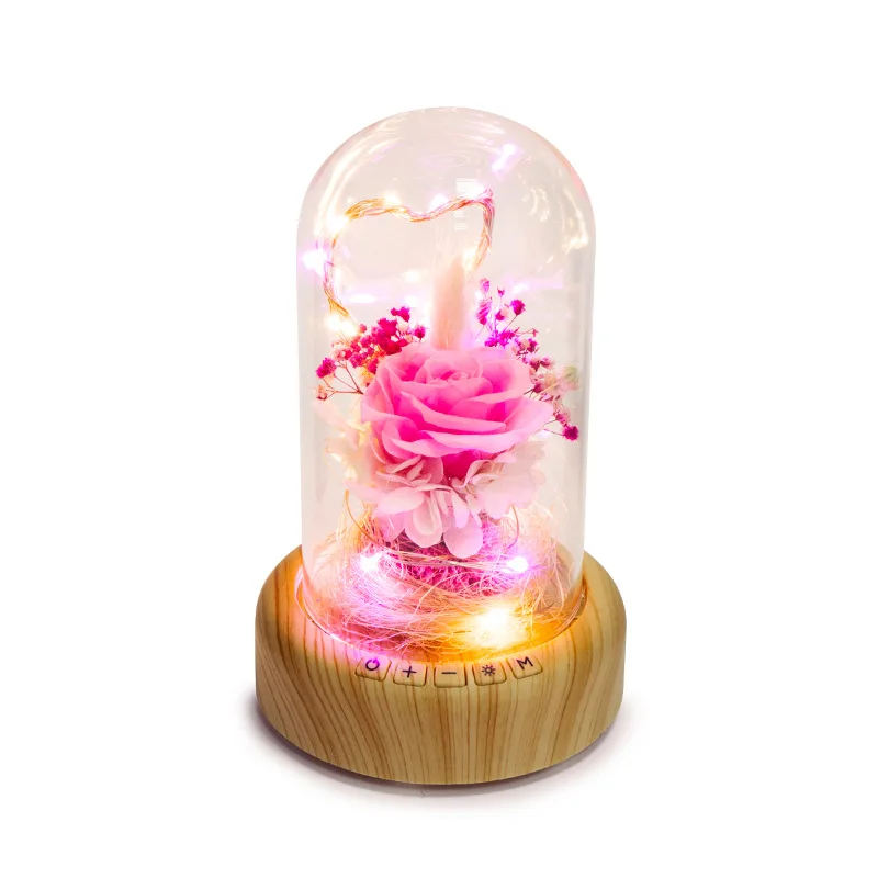 CHICLITS USB декоративная лампа, креативная, желающая, стример, бутылка, музыка, Bluetooth, аудио, вечная Цветочная атмосфера, Лунная лампа - Испускаемый цвет: Pink Eternal Flowers