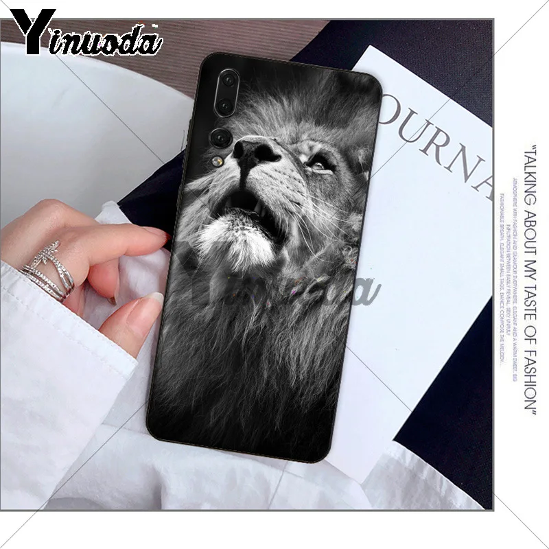 Animals The lion