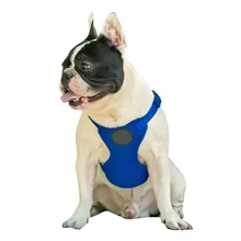 

Breathable Mesh Dog Harness Adjustable Pet Collar Vest For Small Large Dogs Outdoor Comfortable Dog Accessories XS-XL