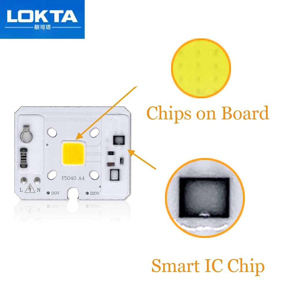 5 шт./лот 10 Вт ac220в/110 В Smart IC COB чип светодиодные лампы светильник с бусинами для DIY прожектор светильник сад газон светильник ing