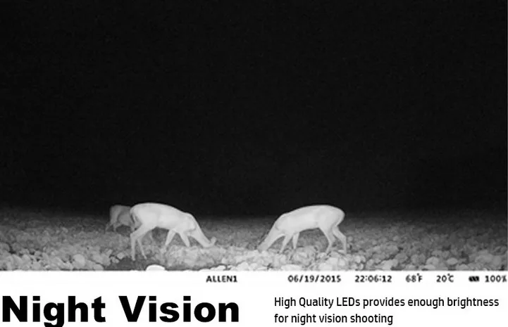 Hunting camera