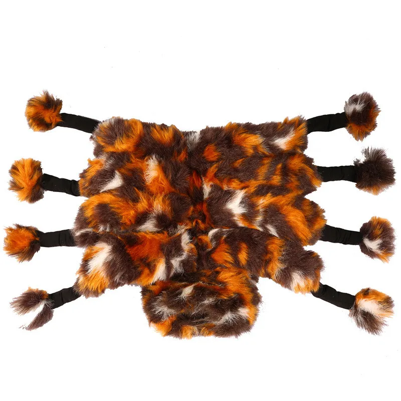 pet 05