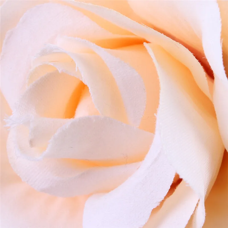 JHF0012_02