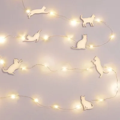 7只猫咪