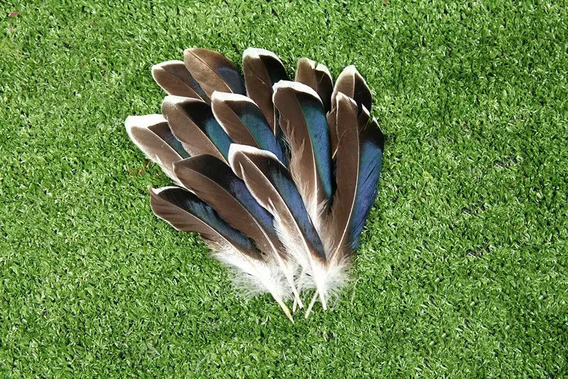 Free shipping for sale high 20pcs Natural Pheasant feather Wild duck