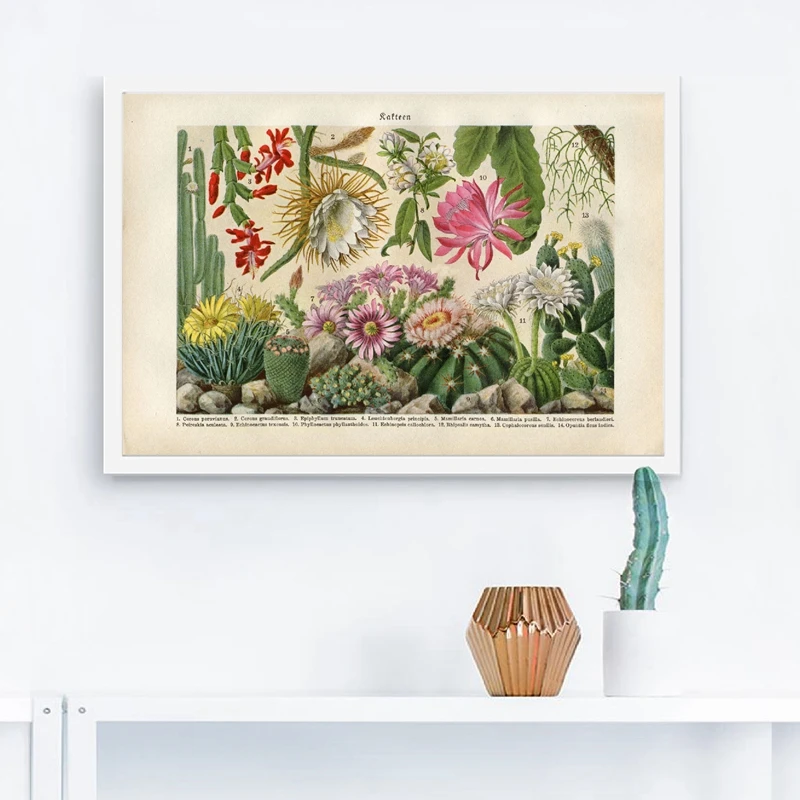 Cactus Flowers Desert Plants Botanical Canvas Painting Home Decor