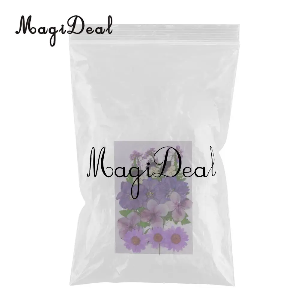 6 Kinds of Pressed Dried Flower Real Dried Flower Plant Specimen Filler for Scrapbooking Card, Art Crafts, Epoxy Resin Jewelry