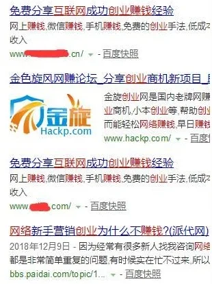 他们是这么操作站群割韭菜实现年赚百万的