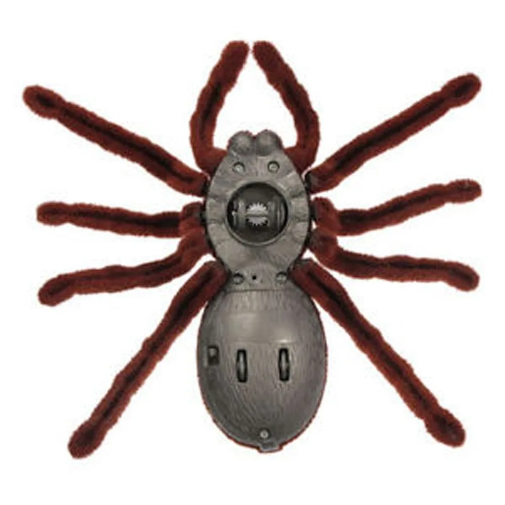 XYG-Spider-787_03