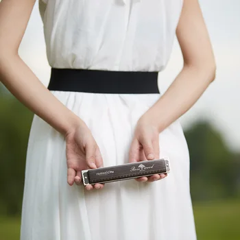 

24-hole Polyphonic C-tone Advanced Adult Organ Beginners Learn To Play Children's Harmonica Instruments By Themselves