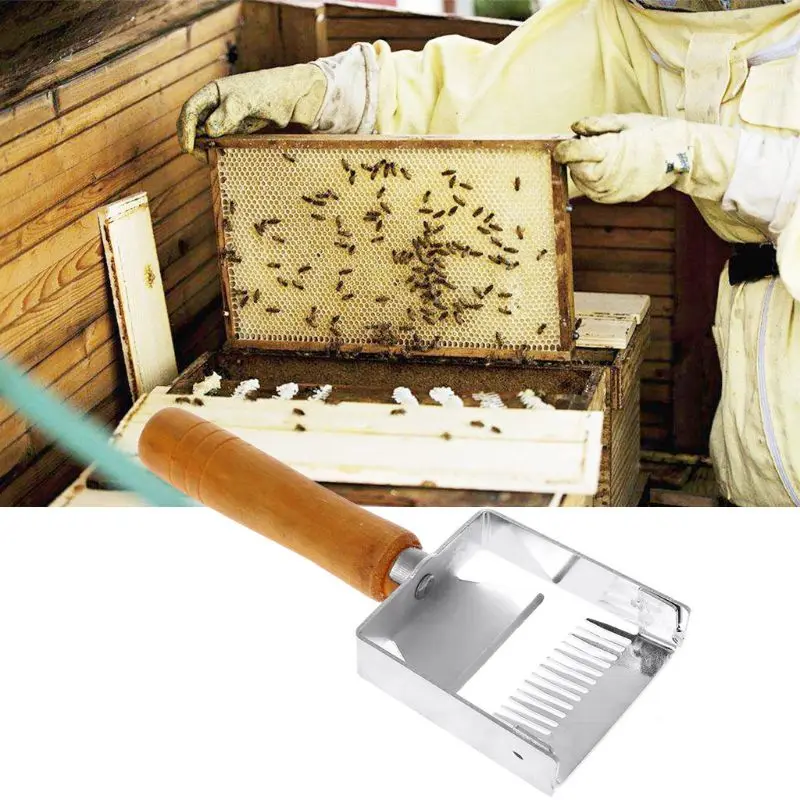 

Beekeeping Tool Apiculture Equipment Uncapping fork Wooden Handle Honeycomb Honey Scraper