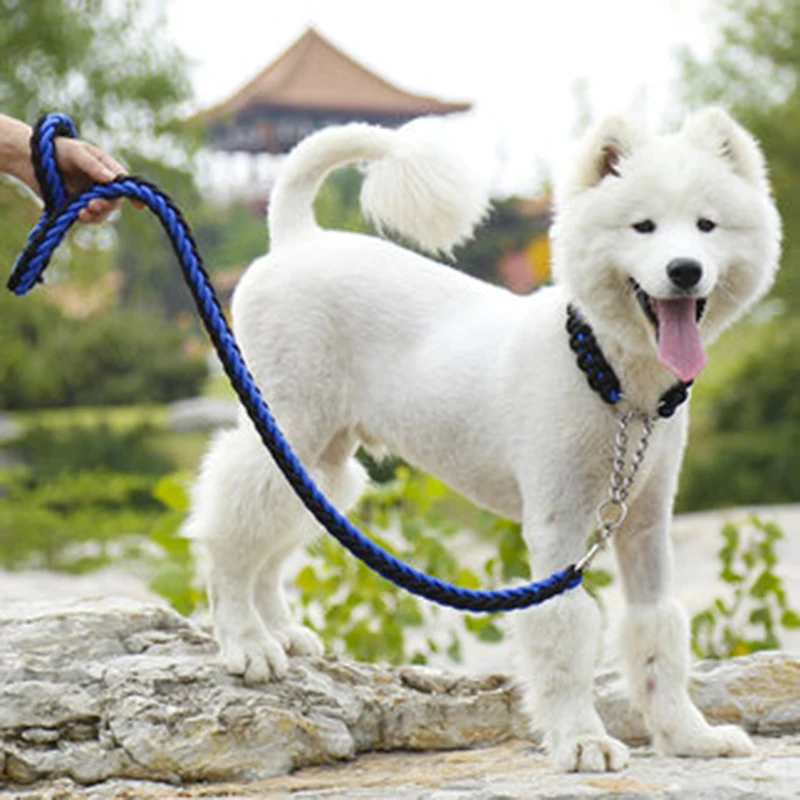 hunde leine (6)