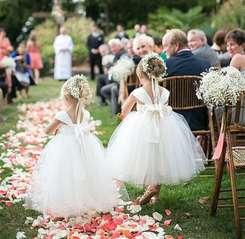 b733f67a1c8757ac8812f1aaaf5c5ebc