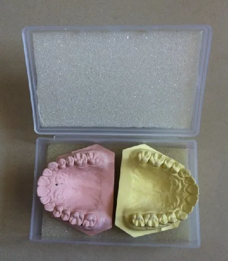 20 шт. коробка для транспортировки зубов с губкой|dental mold|dental plasterdental technics |