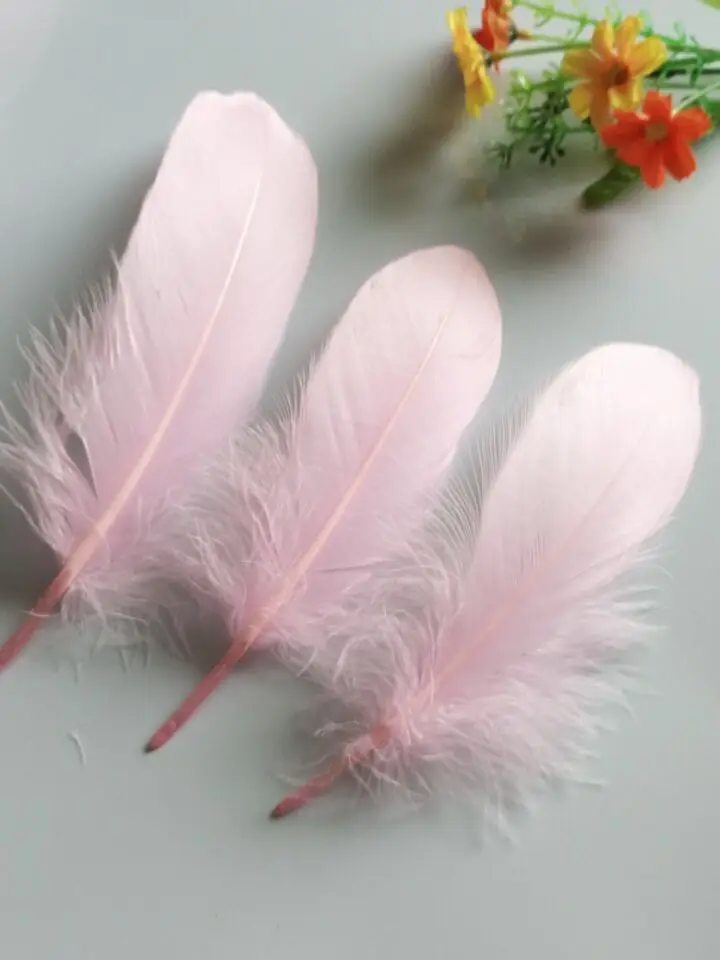 Новинка! Натуральные гусиные перья 5 7 дюймов/13 18 см 20 шт.|goose feathers|feather wholesalerswholesale