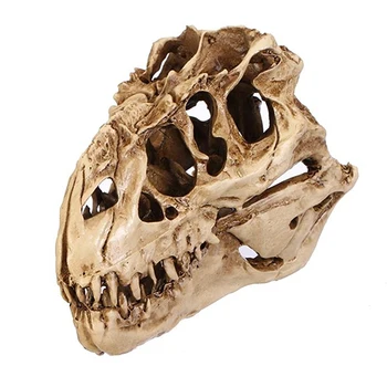 

Resin Dinosaur Skull Model