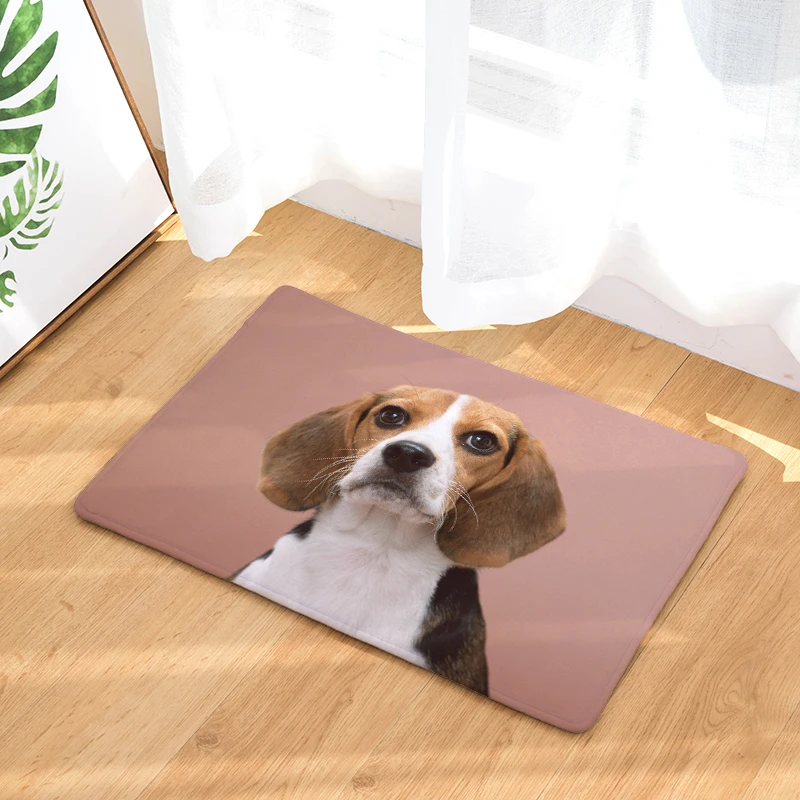  Mats in Front of Entrance Door Mats Colorfast Cute Funny Kitten Cartoon Dogs Carpets Kids Bedroom B