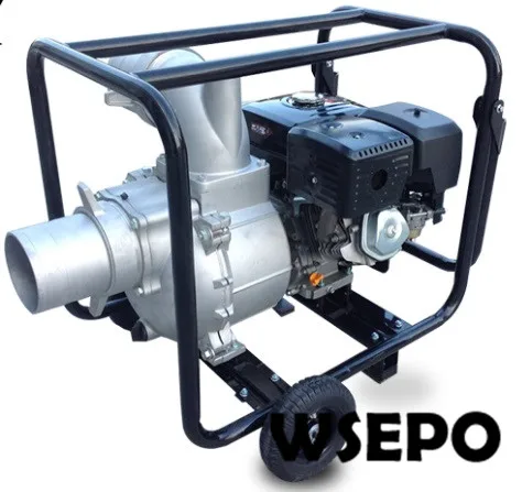 6in. gasoline pump set
