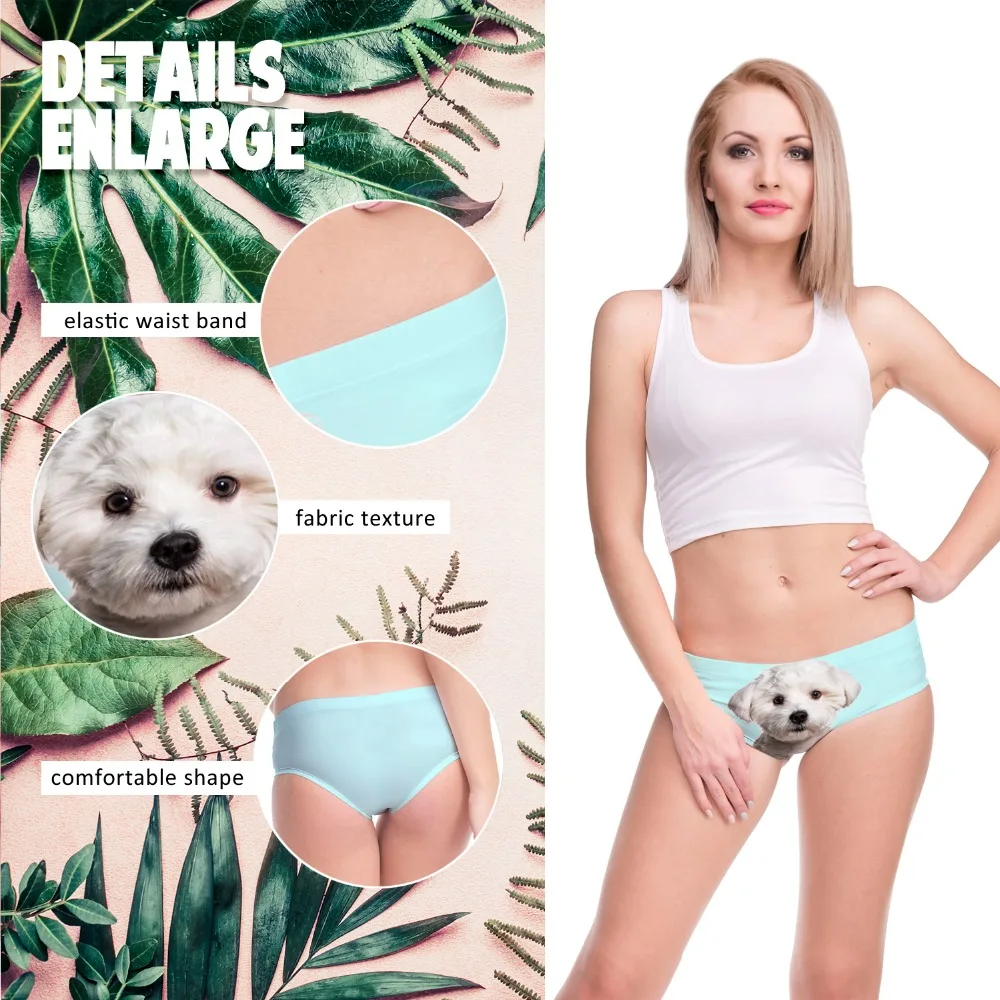 55057 white dog (0)