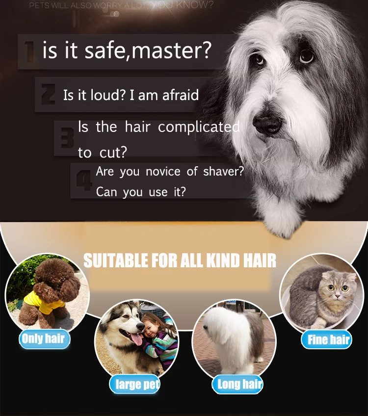 dog clipper