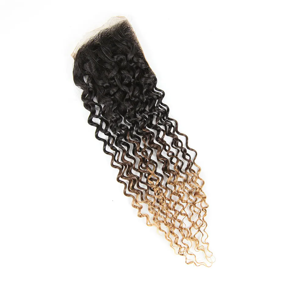Hair Villa Remy Malaysian Ombre Human Hair Closure 4x4 Ombre Malaysian Kinky Curly Hair Closure T1b 4 27 Blonde For Hair Salon (4)
