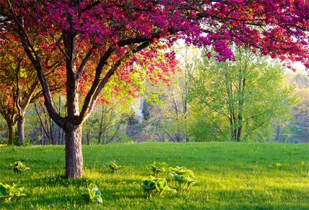 

Laeacco Spring Blossm Tree Grass Shine Outdoor Scenic Photographic Backgrounds Customized Photography Backdrops For Photo Studio