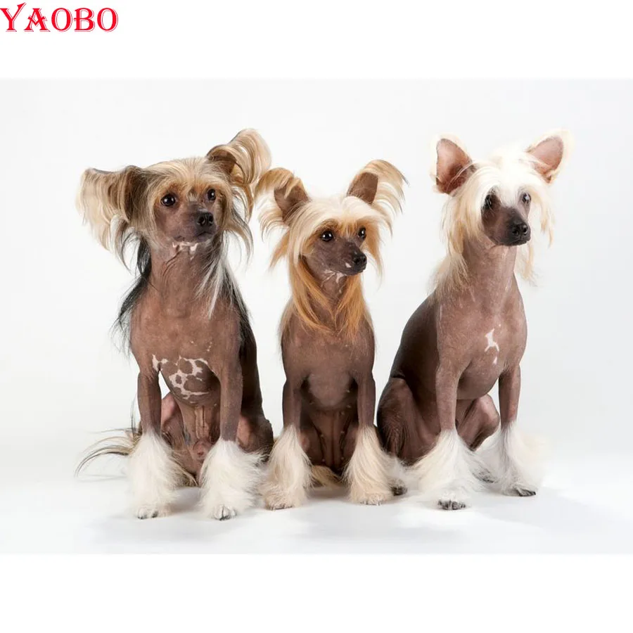 

Diy Diamond Painting Cross Stitch Chinese Crested Dog 5D full Square/round Diamond Embroidery Diamond Mosaic Wall Sticker Decor