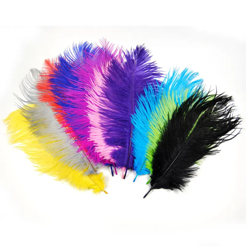 

[10PCS] Length 20cm ~25cm Ostrich Feather for Fly Tying Herl Material Streamer Nymph Steelhead Indicater Multiple Color Assorted