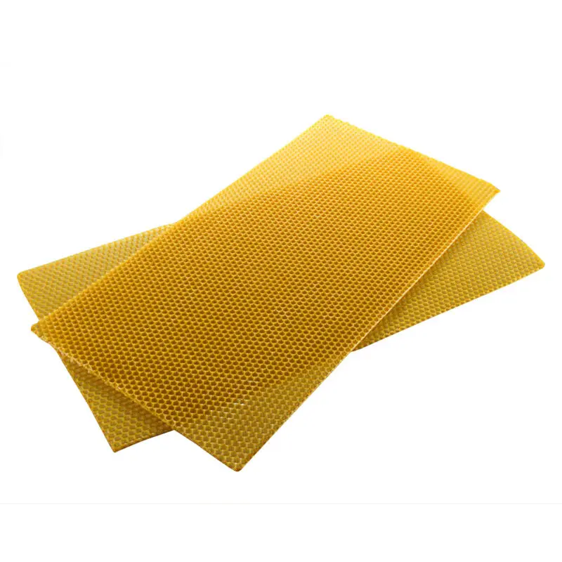

10PCS Beekeeping Honeycomb 200*415 Mm A Must For Beekeepers Excellent Beekeeping Equipment