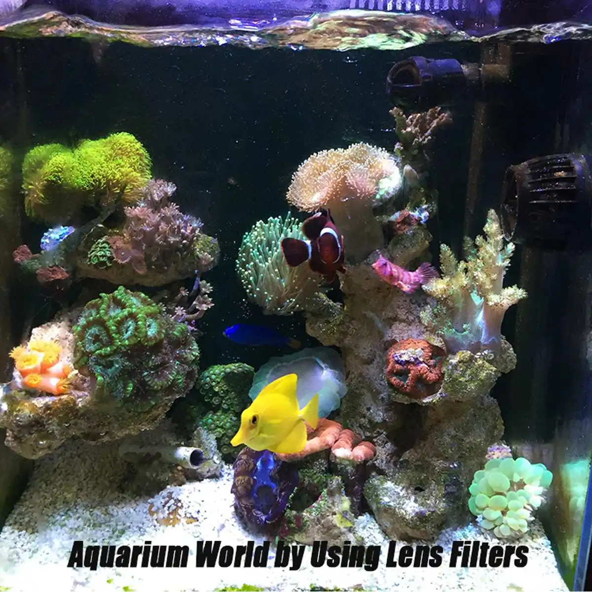 Черный аквариум Коралловый риф магический Объектив телефон камера Фильтры объектив+ 1 макро объектив рыба водный Террариум аксессуары