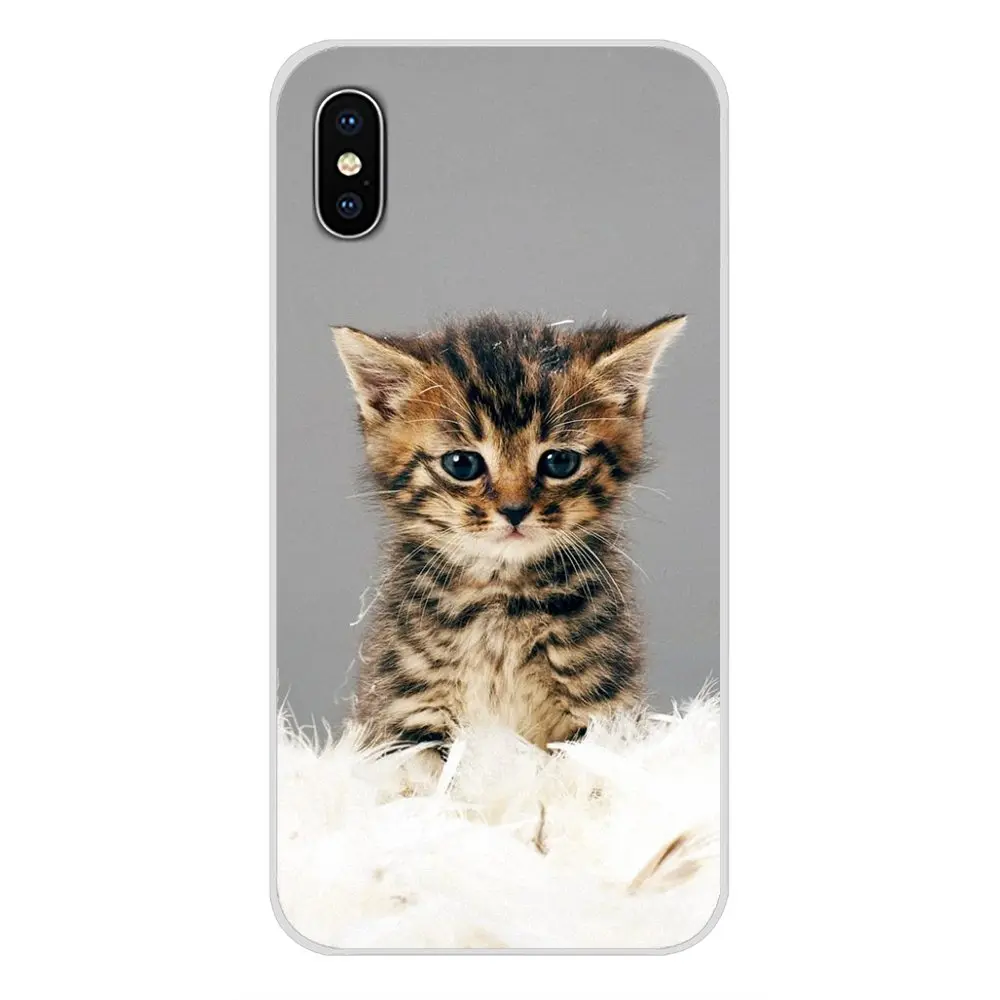 Силиконовые чехлы для телефонов милые молитвенные котята коты Apple iPhone X XR XS MAX 4 4S 5