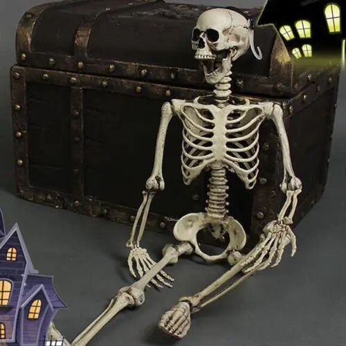 

Posable Skeleton figure Halloween Decor Scary Man Bone Creepy Prop Party Decoration DIY Toy