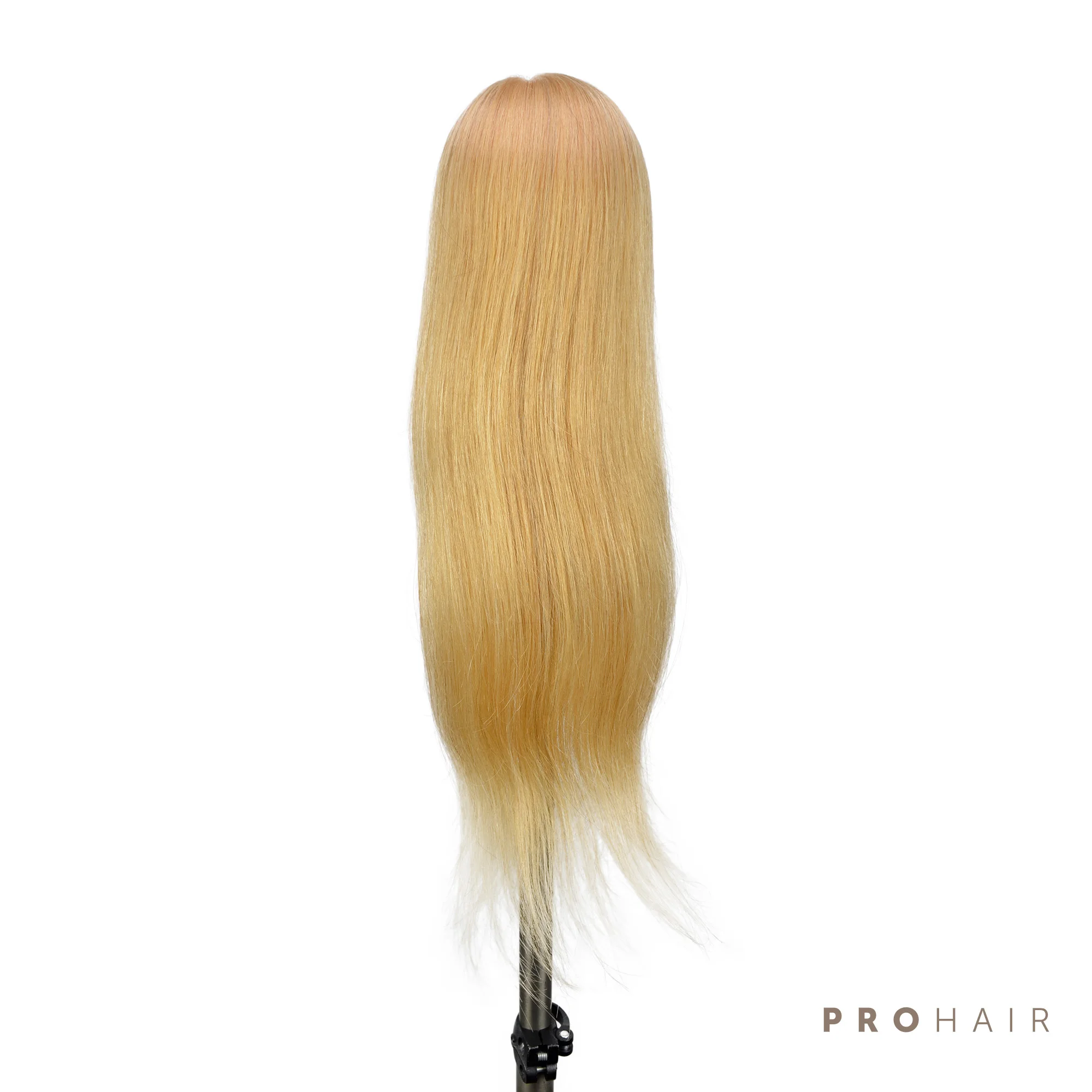 PROHAIR 60 см 24 '颼% человеческий волос светильник блондинка мини обучения головы