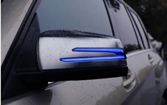 LED Dynamic Turn Signal Indicator Blinker Light For Mercedes Benz A B C E S CLA GLA CLS Class W176 W204 W212 X156 X204 W221 - Название цвета: Синий