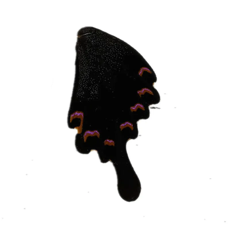 

DoreenBeads Real Butterfly Wing Hat Bag DIY Craft Deco Gift 6.8cm x3.6cm(2 5/8" x1 3/8") - 4.5cm x2.5cm(1 6/8" x1"), 1 Piece