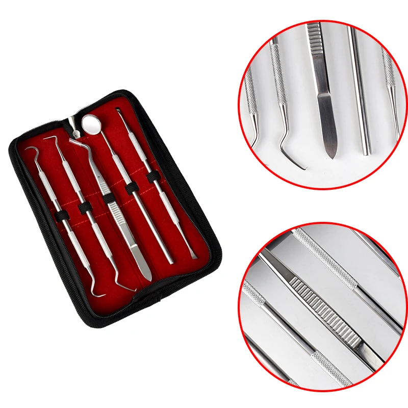 Buy 5Pcs Stainless Dental Tool Set Kit Dentist Teeth