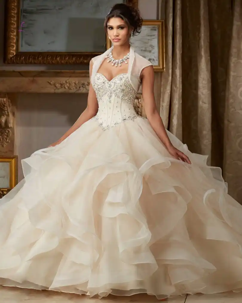 Off The Shoulder Ball Gown Wedding Gowns V Neck Appliques Lace Tulle