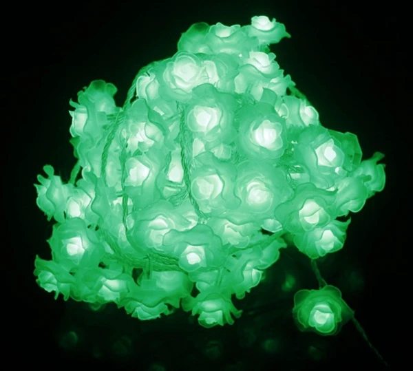 nn03