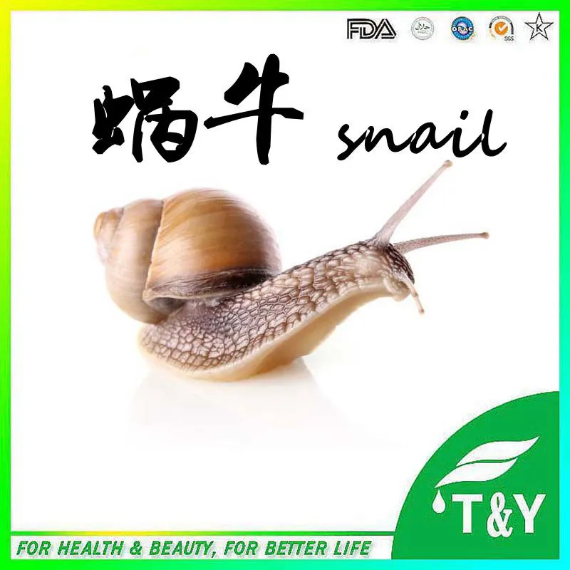 Animal extract Snail protein powder/Snail slime extract/Snail extract