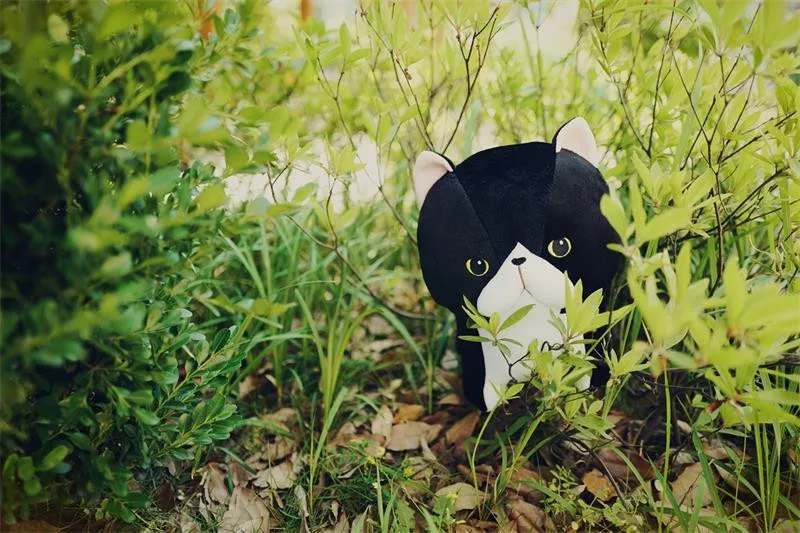 plush toys (20)