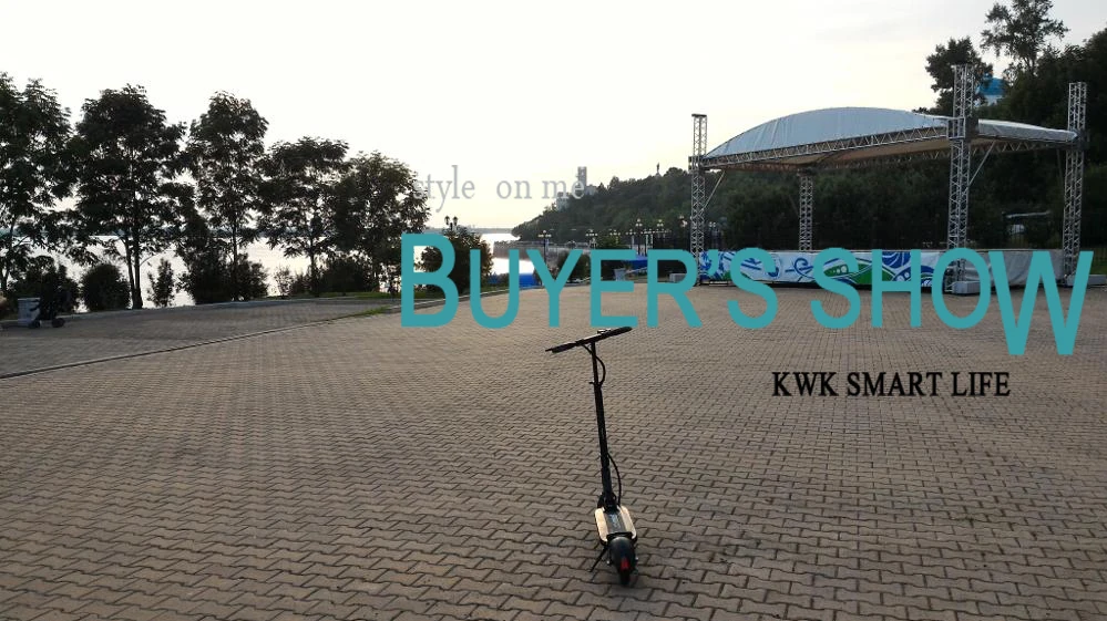 B 2017 48V 15.6A Speedway mini 4 BLDC HUB strong power electric scooter Speedway mini IV powerful scooter