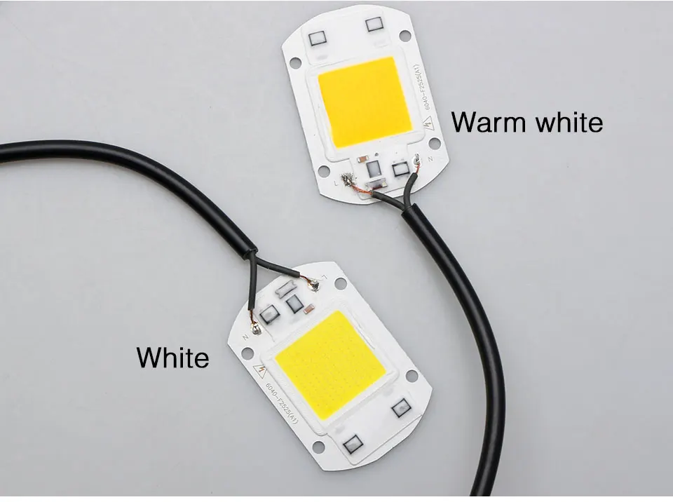 led chip (22)