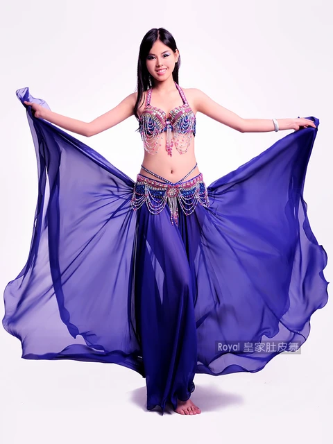 Professional Belly Dance Costumes Carnival Costume For Women Belly Dance  Set Bellydance Bra Belt Skirt Suit Belly Dancer Outfit