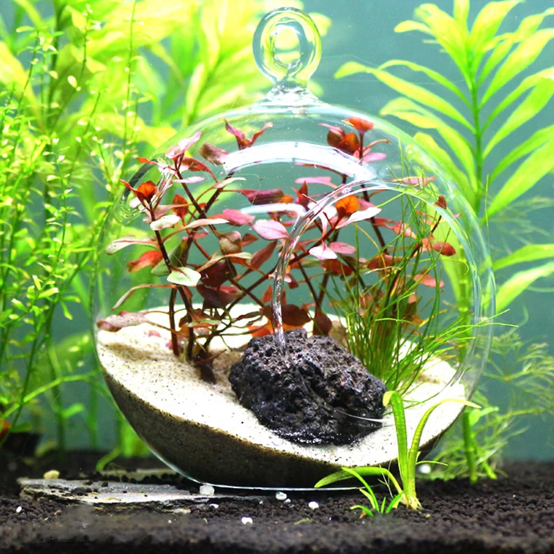 shrimp tank decorations