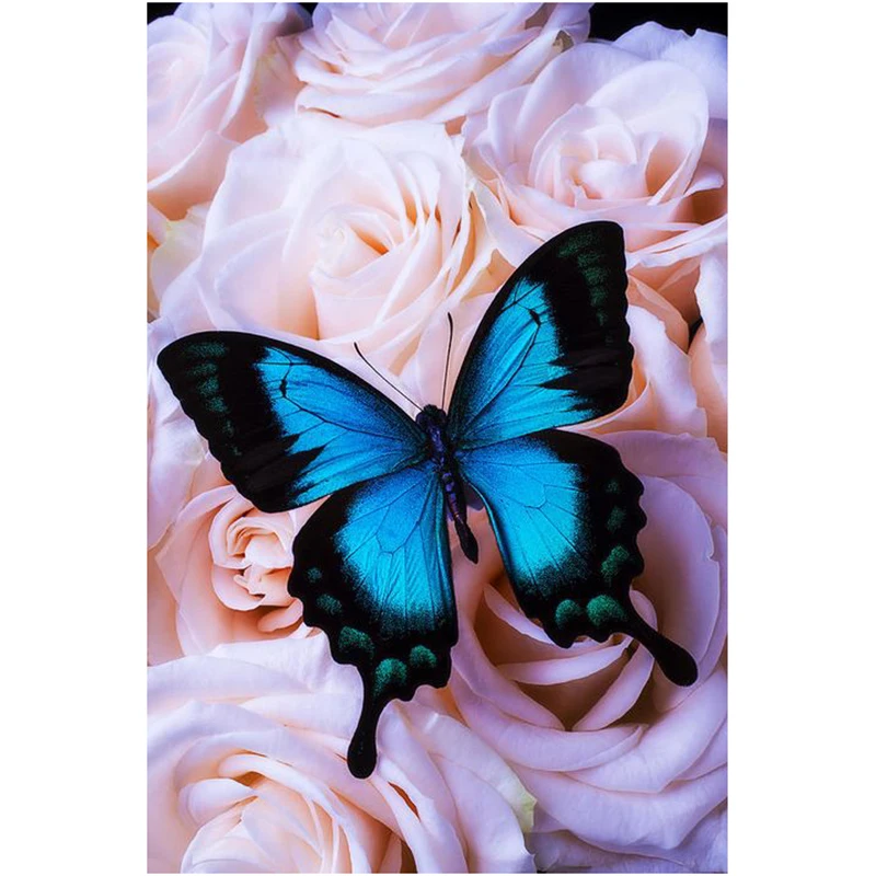 07238f4ff017f81895755e89f5f9a9f7--butterfly-print-blue-butterfly