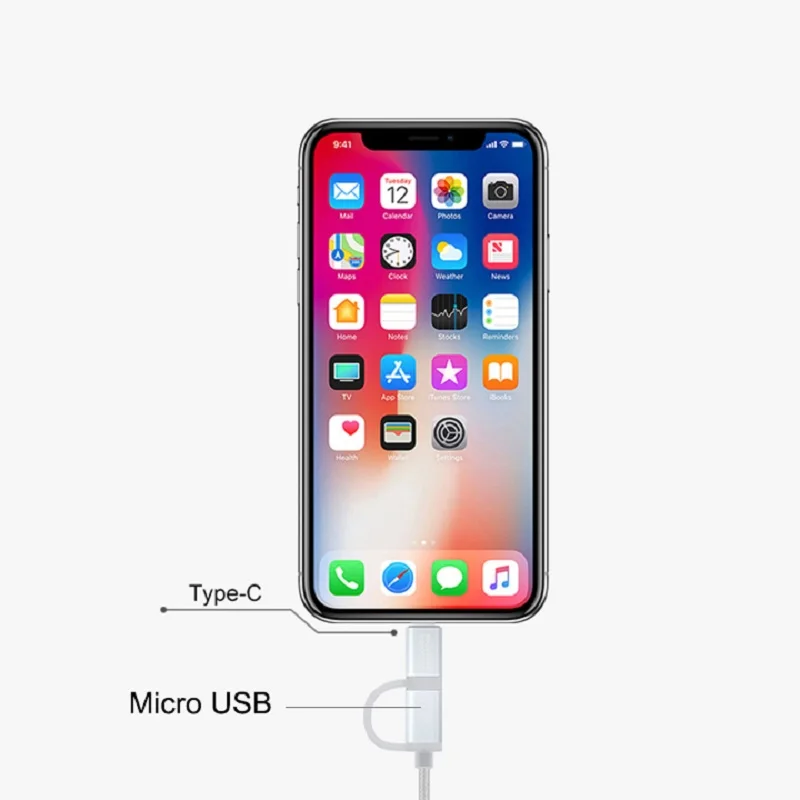 Micro + Type C USB cable (1)