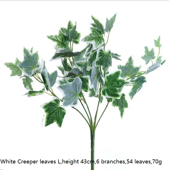White Creeper L